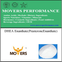 Stereo DHEA Enanthate (Prasterone Enanthate)